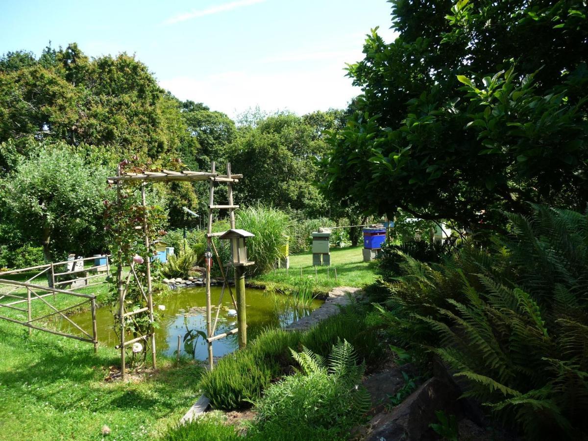 La Miellerie Bed & Breakfast Lannion Luaran gambar